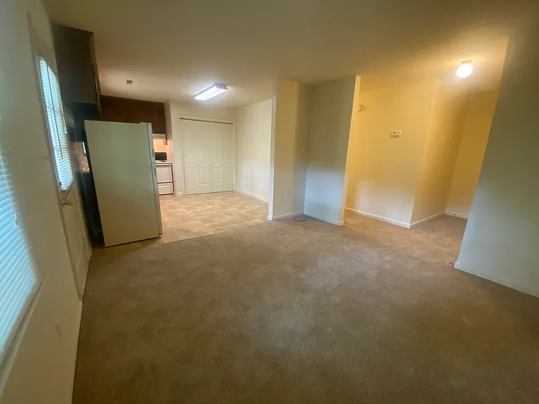 Beechwood Apartments — Photo 28