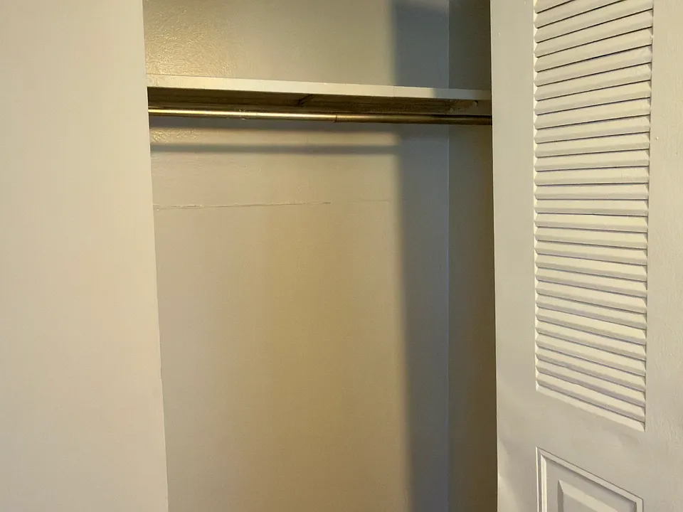 Living room closet