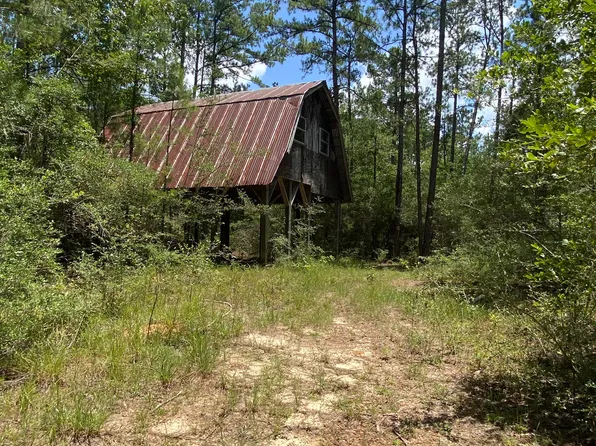 Bear Dr, Carriere, MS 39426