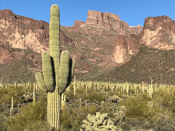 4th image of Superstition Mtns