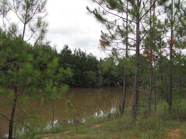 1st image of 0 Lake Owl Head Trl