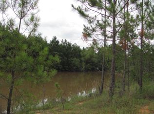 0 Lake Owl Head Trl, Hazlehurst, GA 31539