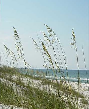 5th image of 288 Beachside Dr