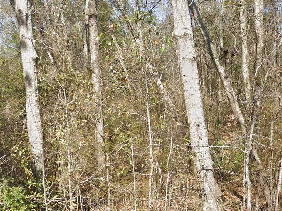 1st image of 6000 Frank Reeder Rd