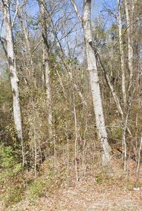 6000 Frank Reeder Rd, Pensacola, FL, 32526
