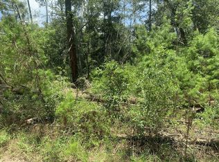 111 New York Ave, Satsuma, FL 32148