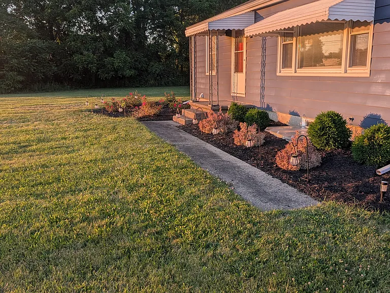 Front yard