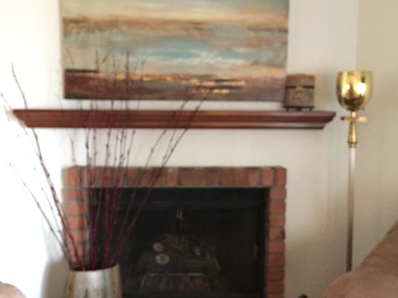 Gas Fireplace