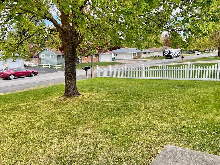 Looking out from front porch