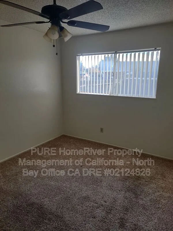 2 bed, 1.0 bath, $1,900 — Photo 4