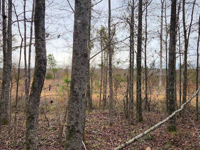 901 Green Hills Rd, Star City, AR, 71667