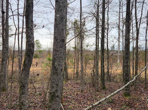 901 Green Hills Rd, Star City, AR 71667