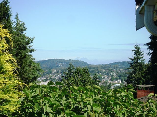 View from deck