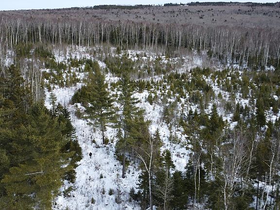 3rd image of M3/L9.11 Bemis Road