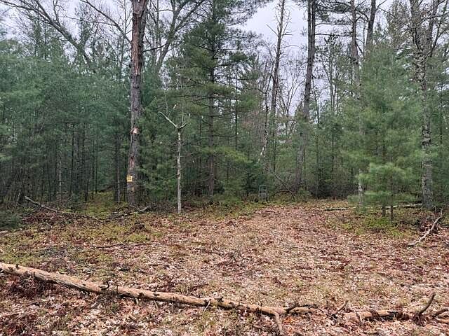 2nd image of Vl Freesoil Rd