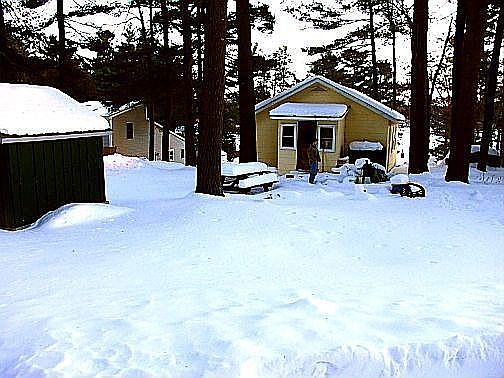 Back yard & shed. Two large trees have been removed. Lake in front of house.
