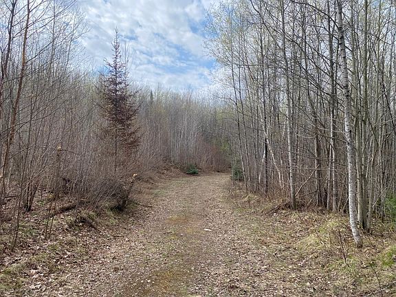 2nd image of Near Wilson Lake Rd