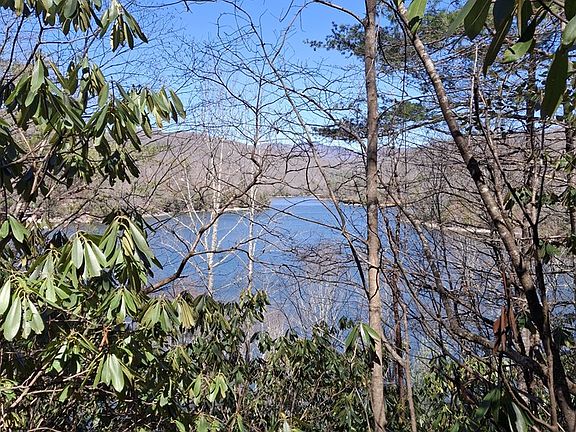 4th image of 0 Vess Owen Rd