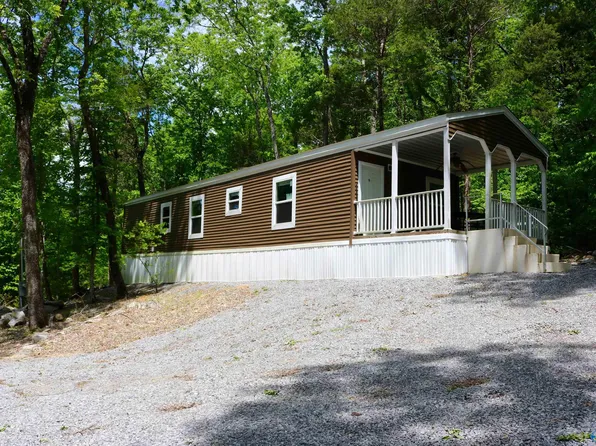 4825 Cathedral Caverns Rd, Woodville, AL 35776