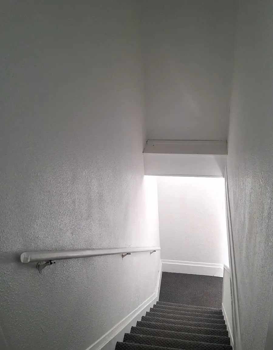 3 bed, 1.5 bath, $1,700 — Photo 3