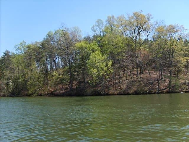 1st image of 8 Watch Tower Dr