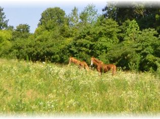 7731 Fernvale Rd, Fairview, TN 37062