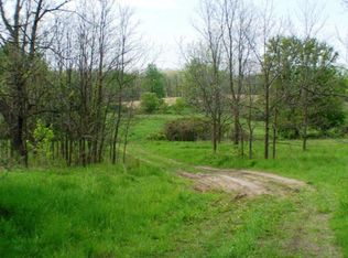 4315 Sayles Rd, Ionia, MI 48846