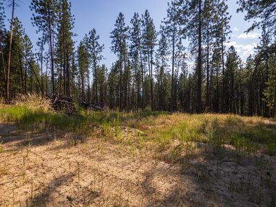 1372 Buckley Way, Kettle Falls, WA, 99141