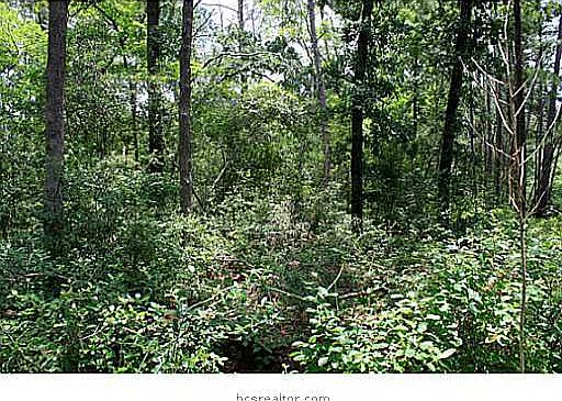 2nd image of Acacia Ln