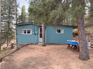 26 Lanier St, Bailey, CO 80421