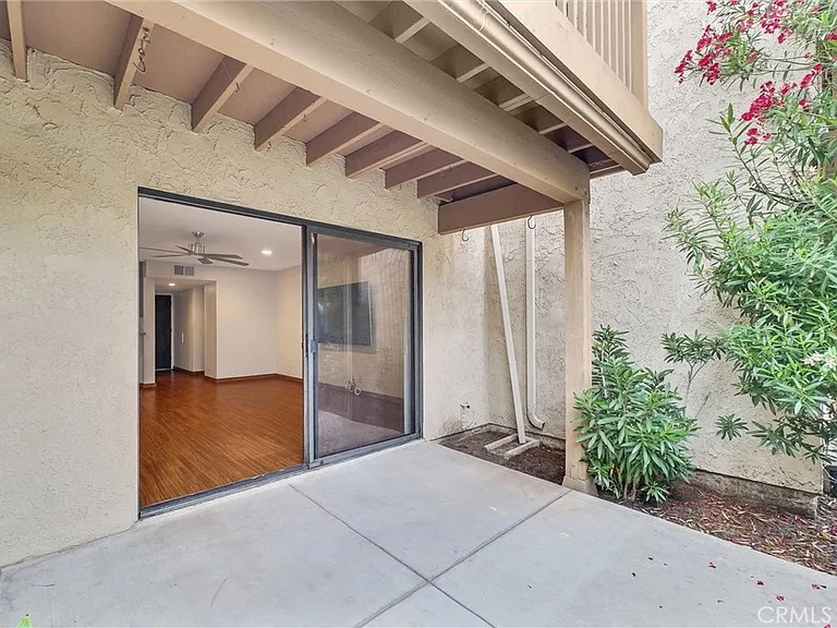 326 Tangelo #323 — Photo 24