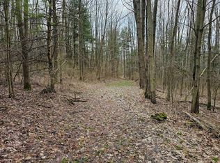 0 N Shuler Rd, Alpine, NY 14805