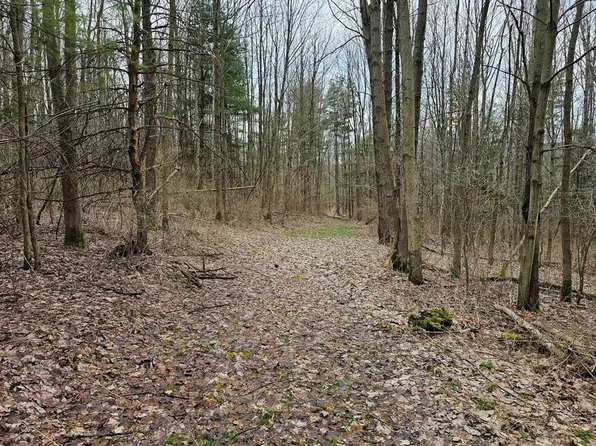 0 N Shuler Rd, Alpine, NY 14805
