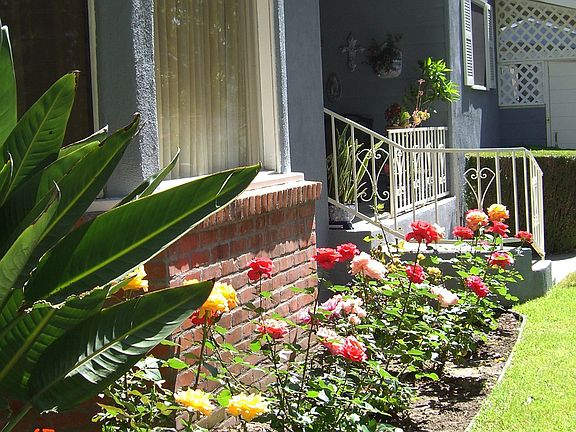 Rose garden w/drip system