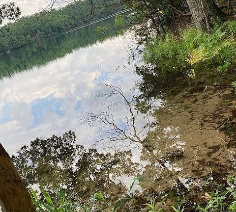 3rd image of 11 E Lake Club Dr