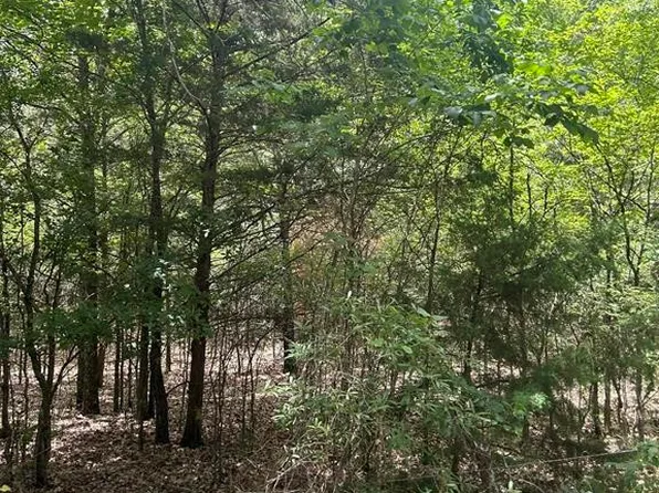 611 County Road 14555, Pattonville, TX 75468