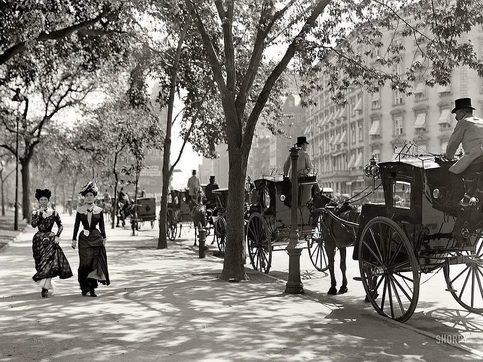 Horse drawn carriages from a time gone by