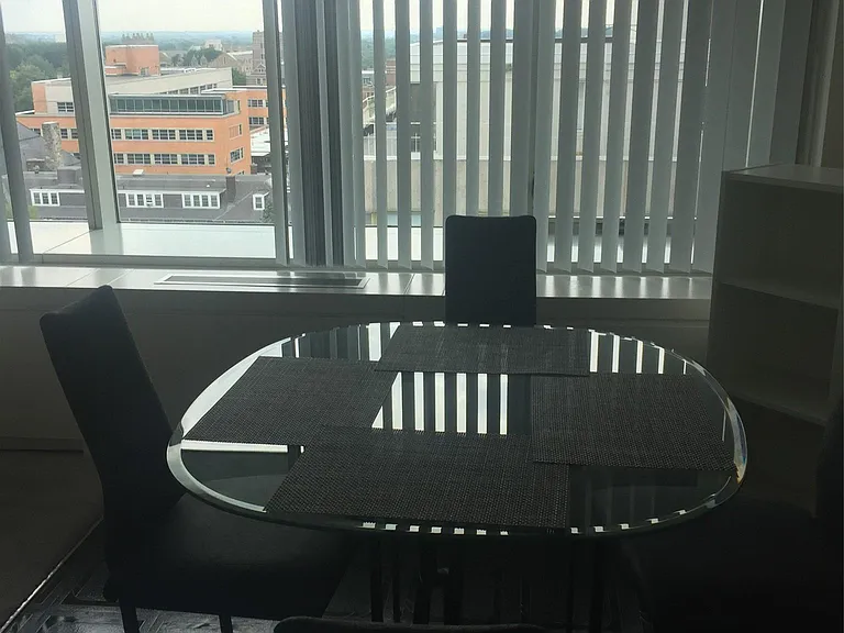 555 E William St #11 — Photo 8