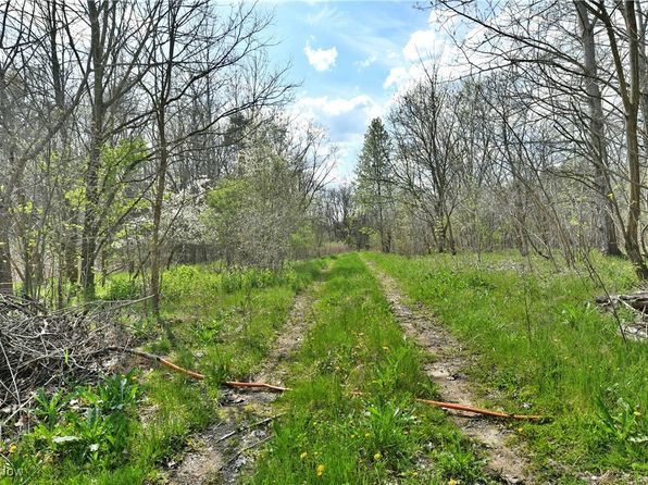 Summerfield Ln NE, Warren, OH 44483