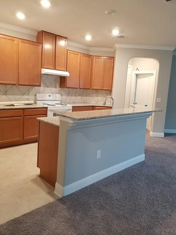 Carriage Pines Dr, Del Valle — Photo 2