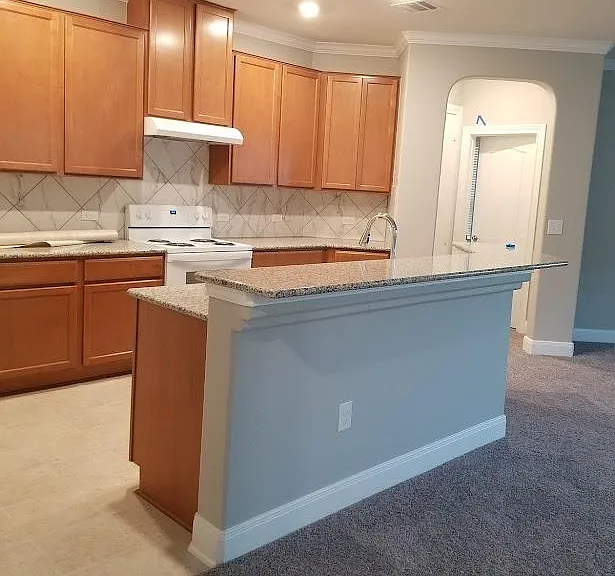 Carriage Pines Dr — Photo 2