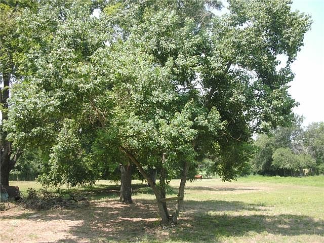 2nd image of 418 S Avenue A