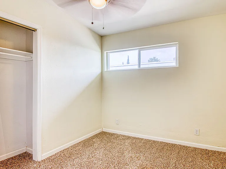 8818 Mount Elbert Dr — Photo 20