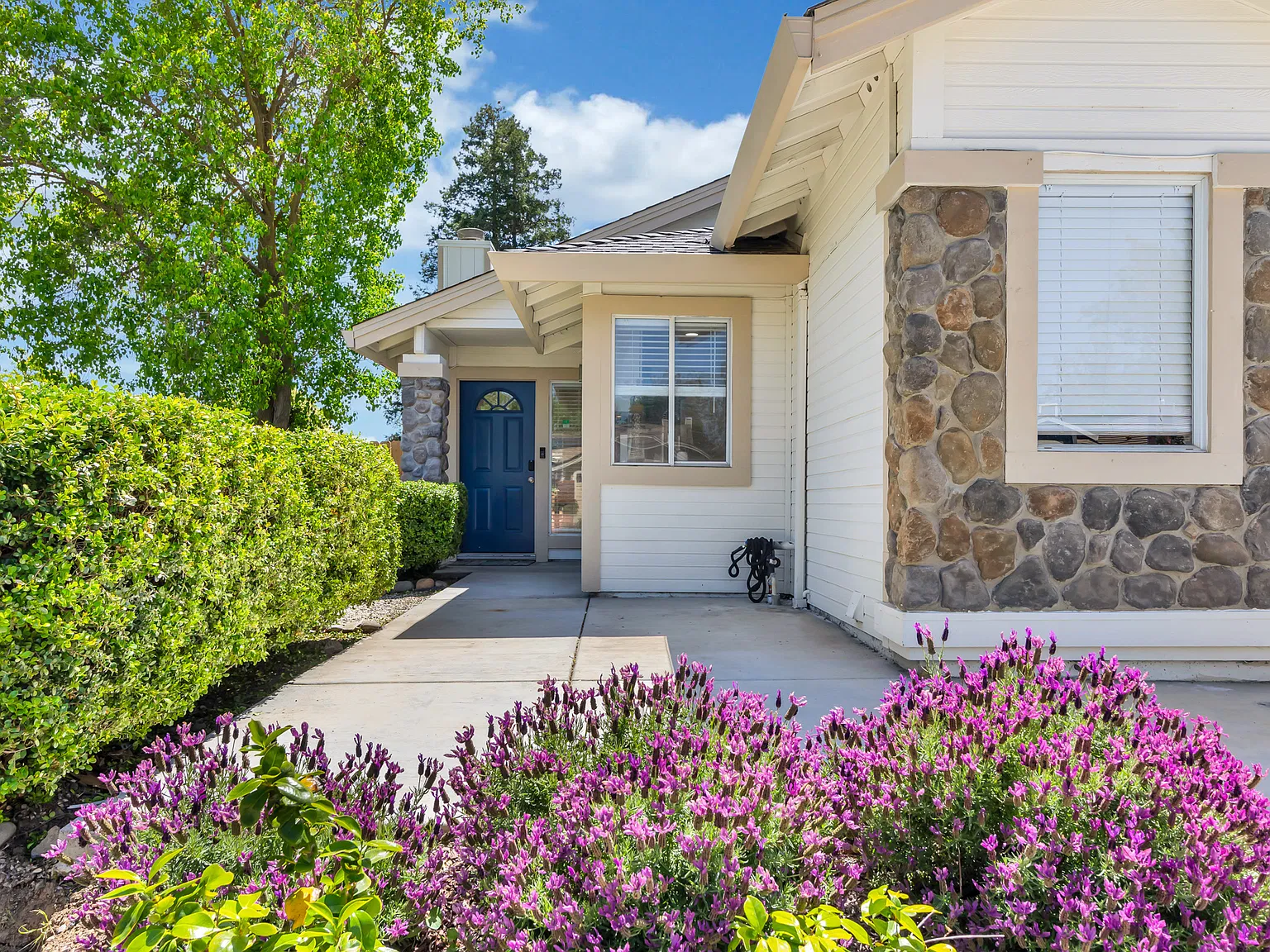6808 Risata Way — Photo 4