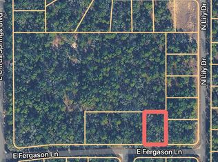 1409 E Fergason Ln #20, Dunnellon, FL 34434