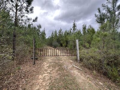 TRACT 6408 N Douglas Ferry Rd, Bonifay, FL, 32425
