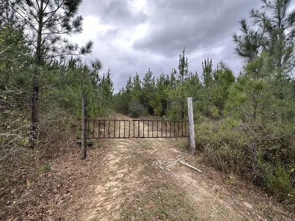 TRACT 6408 N Douglas Ferry Rd, Bonifay, FL 32425