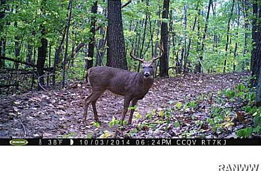 1st image of W1003 Sweeney Road