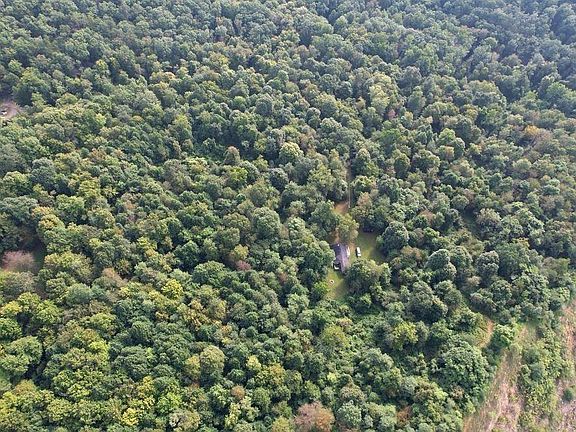 2nd image of 608 Forest Rd