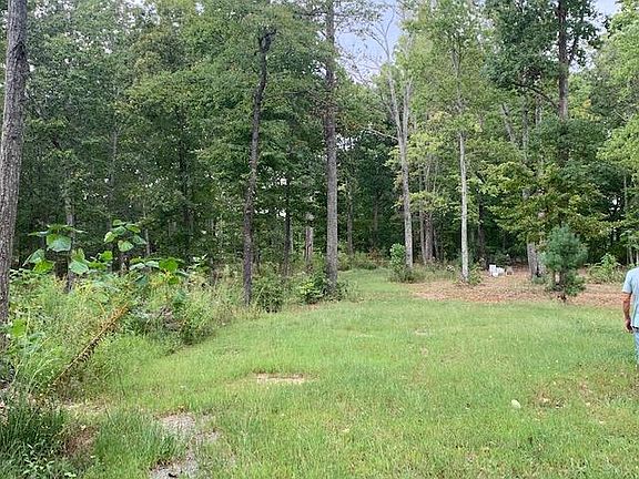 5th image of 105 Hidden Falls Ln
